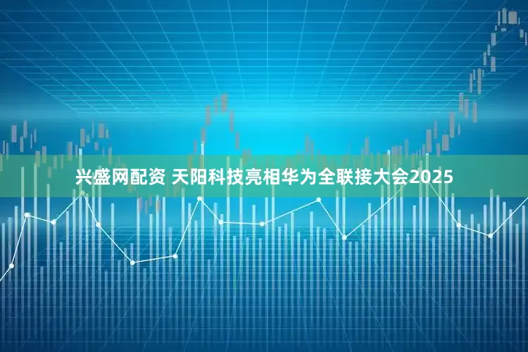 兴盛网配资 天阳科技亮相华为全联接大会2025