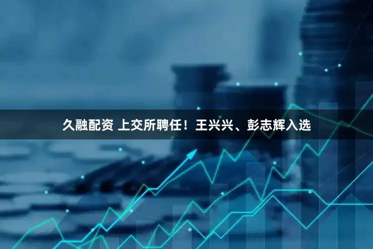 久融配资 上交所聘任！王兴兴、彭志辉入选