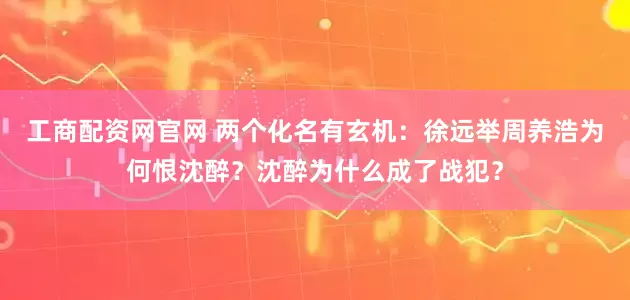 工商配资网官网 两个化名有玄机：徐远举周养浩为何恨沈醉？沈醉为什么成了战犯？
